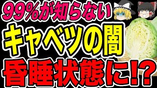 【ゆっくり解説】食べすぎたら昏睡状態に！誰も知らない本当は怖いキャベツの闇！