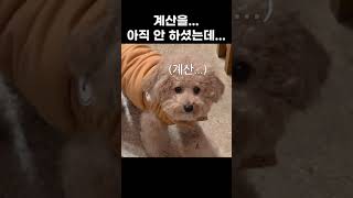 아무리 예뻐도 계산은 하고 가셔야죠 #shorts