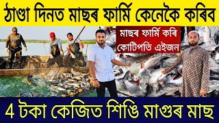 ঠাণ্ডা দিনত মাছৰ ফাৰ্মি কৰি কোটিপতি যুৱক| Catfish Fish Farming in Assam |Fish Farming Business Assam