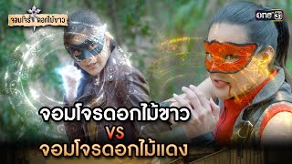 จอมโจรดอกไม้ขาว VS จอมโจรดอกไม้แดง | Highlight จอมโจรดอกไม้ขาว Ep.16 | 15 ส.ค. 66 | one31