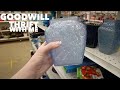 Not JUST ONE. I FOUND Two! | GOODWILL Thrift With ME | Reselling