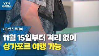 11월 15일부터 격리 없이 싱가포르 여행 가능 / YTN 사이언스