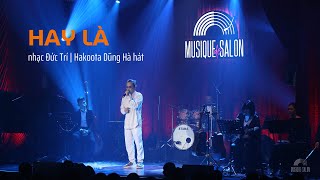 HAY LÀ | Đức Trí | Hakoota Dũng Hà | live at Musique de Salon