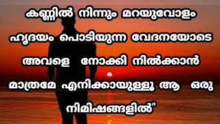 കണ്ണില്‍ നിന്നും മറയുവോളം ഹൃദയം പൊടിയുന്ന വേദനയോടെ അവളെ നോക്കി നില്‍ക്കാന്‍ മാത്രമേ #നൊമ്പരം #പ്രണയം