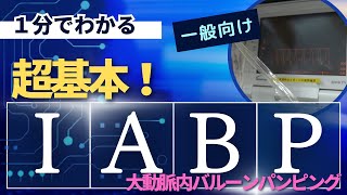 臨床工学技士のたまご～１分でわかるIABP