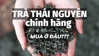 Mua trà Thái Nguyên chính hãng đảm bảo tiêu chí trà ngon và sạch ở đâu? Bật mí địa chỉ mua trà chuẩn