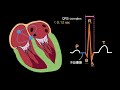 心臟內科1 基本心電圖判讀