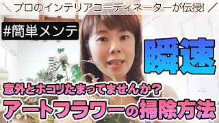 一瞬で解決!!アートフラワーのお掃除方法☆造花・フェイクグリーンの簡単メンテナンス方法を伝授します!