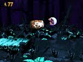 [TAS] SNES Donkey Kong Country 2 Unveiled by chillex_drsado, SBDWolf & Snodeca in 4850.44