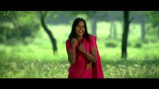 Avakaya Biryani Telugu movie song - Veerudena Video song - Kamal Kamaraju, Bindhu Madhavi