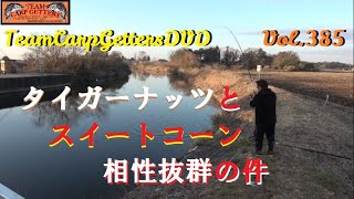 冬の鯉釣り By TeamCarpGettersDVD Vol.385