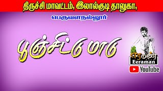 திருச்சி மாவட்டம் லால்குடி வட்டம் பெருவள நல்லூர் பூஞ்சிட்டு மாடு பந்தயம்.