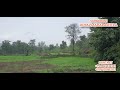 cheap rate land for sale low rate property for sale lanja ratnagiri propertyinkonkan