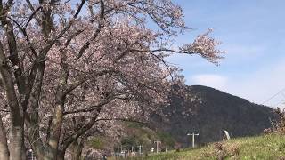 トワイライトエクスプレス「瑞風」 山陰本線 大岩