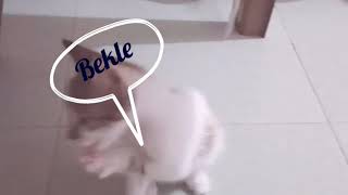 #Cat #cats #kedi   Evimizin yeni üyesi zıpzıp cazgır tanışın onunla