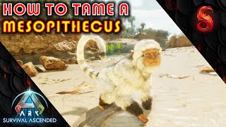 ARK SURVIVAL ASCENDED HOW TO TAME A MESOPITHECUS