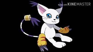 History of Gatomon/Tailmon (Digimon)