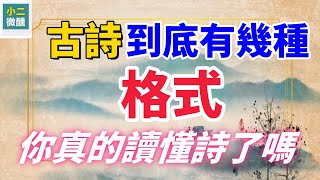 古詩到底有幾種格式？ 帶你看懂詩人的創作法則，學會就是詩人！