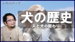 【犬の歴史】人間と犬はどれくらい前からの付き合いなのか？[ゆっくり歴史話] 三原一太の【いちペディア】