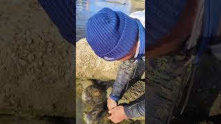 LOOK WHAT'S INSIDE THIS HUGE ROCK #fishing #shorts #fishingvideo #amazing