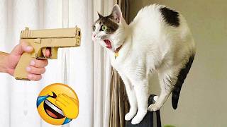 Funniest Dogs and Cats of 2025😼🐶You Laugh You Lose😜