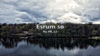 Esrum sø. Ny PR gedde x2