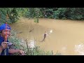 ganas nya bukan main.. mancing di sungai air yg keruh umpan cacing dan usus ayam