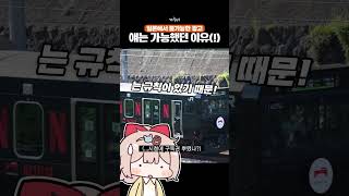 일본에서 화제였던 전철에 로고 쓰는 방법 (!)