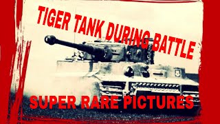 TIGER TANK IN BATTLE KURSK KHARKOV AND MORE PLUS STUG T34 PANZER IV FIELD PICTURES TOTENKOPF