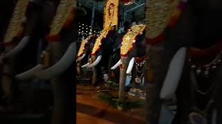 ടൈറ്റസ് ചേട്ടൻ പോളിയല്ലേ #shorts #viral #video #youtubeshorts #music #subscribe#whatsappstatus