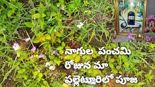 మా ఇంట్లో నాగుల పంచమి ||మా పల్లెటూరిలో పుట్టలో పాలు పోయడం \u0026 పూజ విధానం 🙏