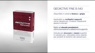 Geoactive Fine B 543