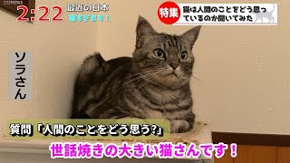 【猫ニュース】「猫は人間のことをどう思っているのか」猫さんに聞いてみた。