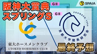 【阪神大賞典・スプリングステークス 2024最終予想】東大HCの本命は先行力とレースセンスが光る！　京大競馬研の本命は長距離実績◎の 7歳馬（東大・京大式）