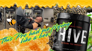 🐝 HIVE DMHA High Stim Euphoric Pre Workout 🐝 |  Eulogy NO Discount Code Dad 🥸