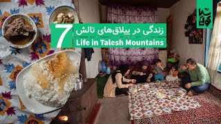 Country life vlog in Talesh mountains  ولاگ زندگی روستایی مرغ سرخ شده