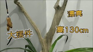 价值一千多的全陈化崖柏大件料子，分享给大家欣赏