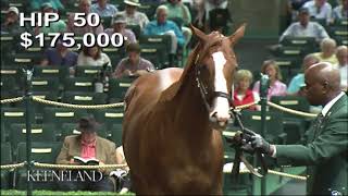 Justify as a Keeneland September Yearling
