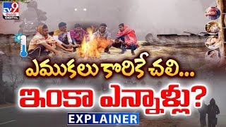 Explainer : ఎముకలు కొరికే చలి...ఇంకా ఎన్నాళ్లు? | Cold Wave On Telugu States - TV9