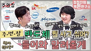 [정철진의 목돈연구소] 반도체 뭘 사고 싶어? 들어와 알려줄게