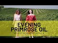 Prowise Evening Primrose Oil 1000mg 90 Softgels I Women’s Health | UK Manufactured