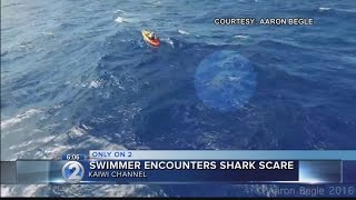 Caught on camera: Sharks join woman on Kaiwi Channel swim