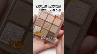 🍂다이소 대란 브랜드에서 나온 가을 신상