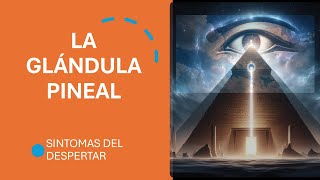 Glándula Pineal Síntomas del Despertar