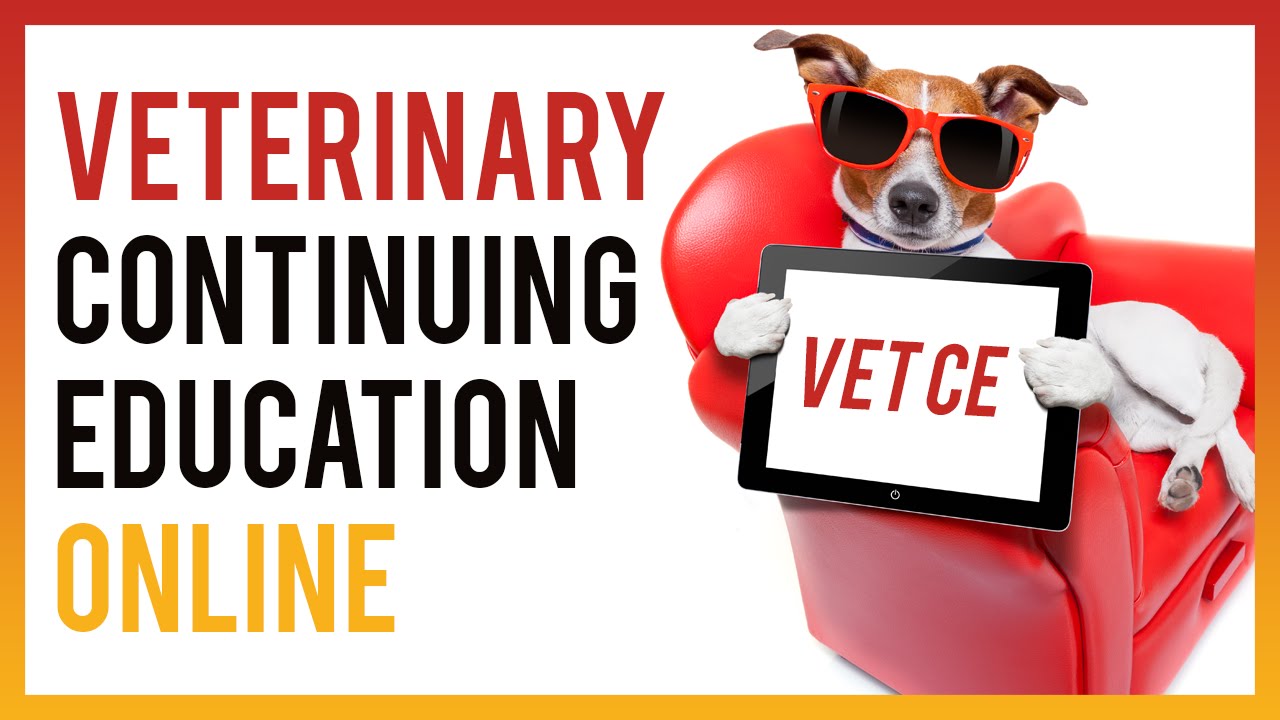 Veterinary Continuing Education Online - YouTube