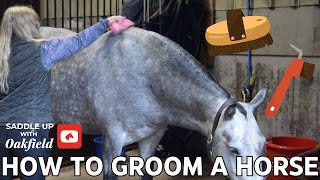 How To Groom a Horse | Saddle Up With Oakfield