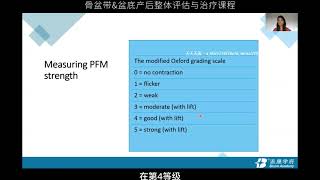 【ZY0004】13 盆底评估二（《骨盆带盆底产后整体评估与治疗》国际课程 32集）