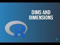 Bioinformatics: Dims and Dimensions | Python | BioCode Ltd