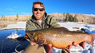 FREEZING Temps and GIANT Brookies!!!! CATCH & COOK!!