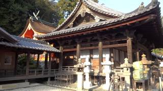 紀美野町　野上八幡神社